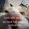 _lilyalen