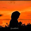 butterfly270700