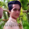 luqmanhamdard182