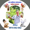 tuan.66222