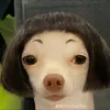 _anhhongle_