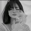 .elien22