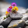 user7jl4e0pqw5