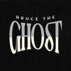 brucetheghost