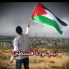hasansayed98