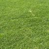 bamba23451