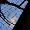 giova_pin.04