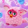 razzbach