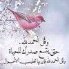 wehbe5050gmail.com