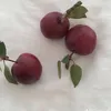 viciousracket