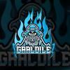 gaaldile_official