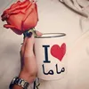 analayzer_d