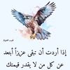 user32206483219654
