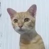 yusunnaa
