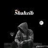usershahzaibcricket