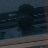 patrick_xiam2