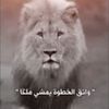 watheq_alkhtwah