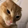 Danny