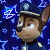 𝓢𝓣𝓐𝓡⭐️ 𝓒𝓗𝓐𝓢𝓔🐾💙