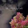 jood66990