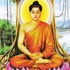 huynhmai00