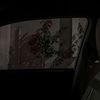 eal_36