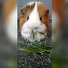 your_mumyy