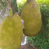 tuannguyen_1996.vn