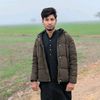 shan_ali_8786