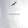 bk3r3rb