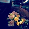 fasool10_