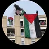 haabib31k