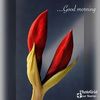 ishwarchaudhary06