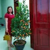 nguyenthiha0272