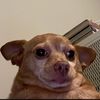 hddugly_0320