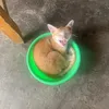 sfvhjjjbvvvg