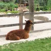 thohungry