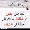 aboodalbaloshi
