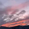 cal_g_2024