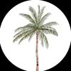 xll4_