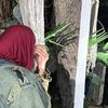 rehabebraheem20