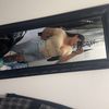 regina__415