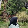 shntnry01