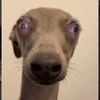 kaywabeepboop
