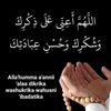 zohaibawan558