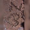 zahraa_753