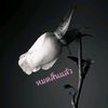 lnfinix_x80