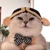 sfnajfnskjd
