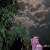 mohamed.2k2_
