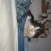 hanna_bannan